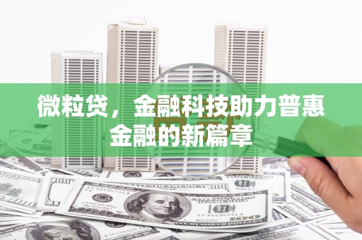 芦竹微粒贷，金融科技助力普惠金融的新篇章