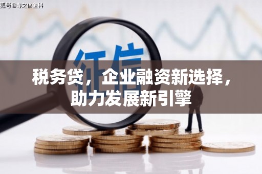 芦竹税务贷，企业融资新选择，助力发展新引擎
