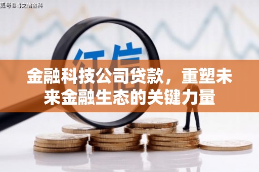 芦竹金融科技公司贷款，重塑未来金融生态的关键力量