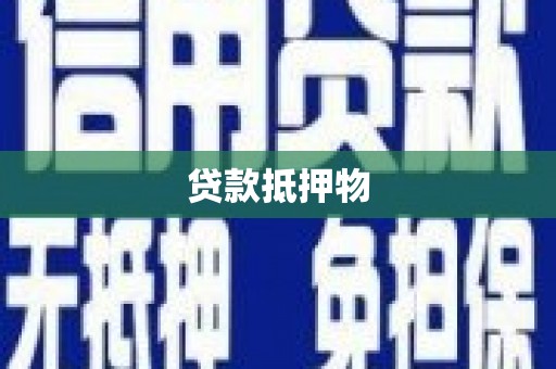 芦竹贷款抵押物
