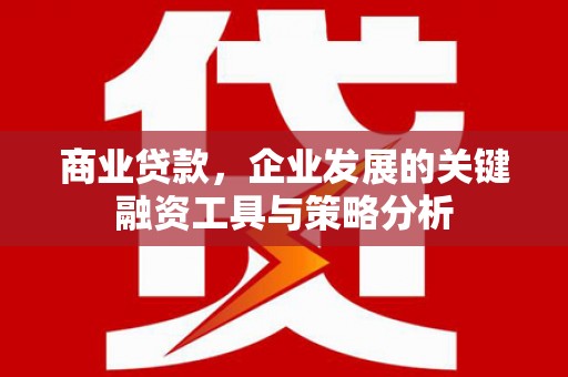 芦竹商业贷款，企业发展的关键融资工具与策略分析
