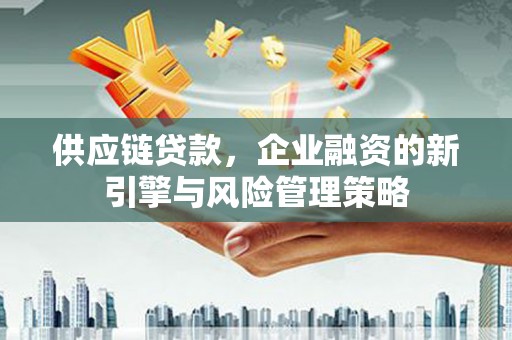 芦竹供应链贷款，企业融资的新引擎与风险管理策略