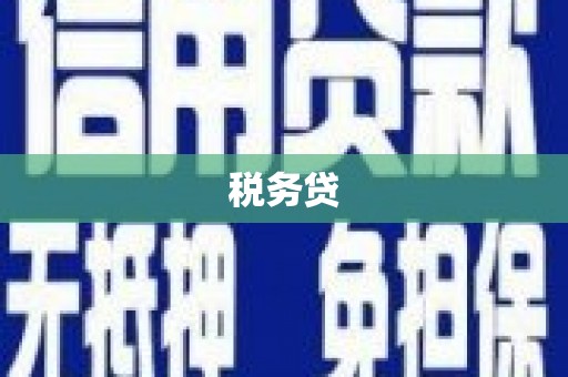 芦竹税务贷