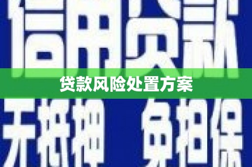 芦竹贷款风险处置方案