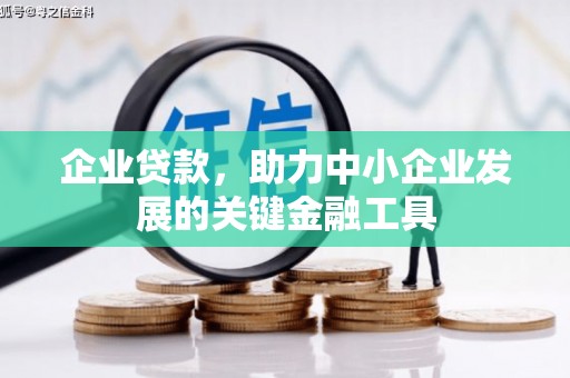 芦竹企业贷款，助力中小企业发展的关键金融工具