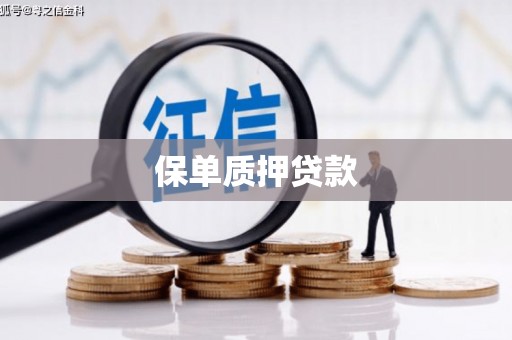 芦竹保单质押贷款