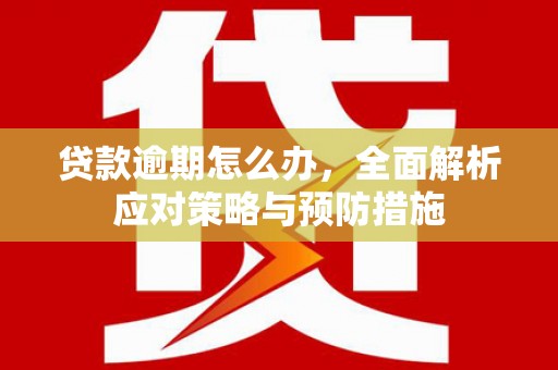 芦竹贷款逾期怎么办，全面解析应对策略与预防措施