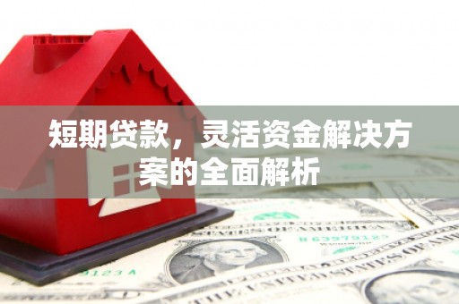 芦竹短期贷款，灵活资金解决方案的全面解析
