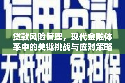 芦竹贷款风险管理，现代金融体系中的关键挑战与应对策略