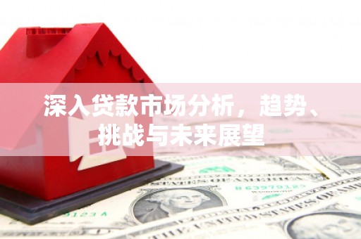 芦竹深入贷款市场分析，趋势、挑战与未来展望