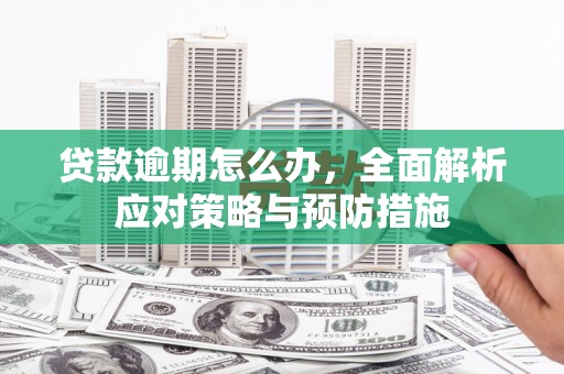 芦竹贷款逾期怎么办，全面解析应对策略与预防措施