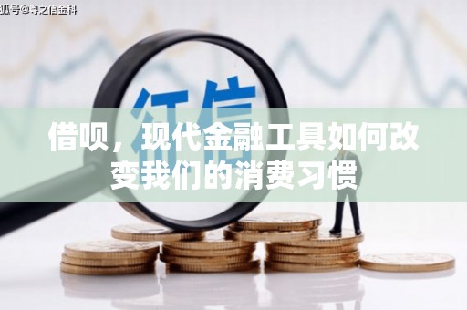 芦竹借呗，现代金融工具如何改变我们的消费习惯