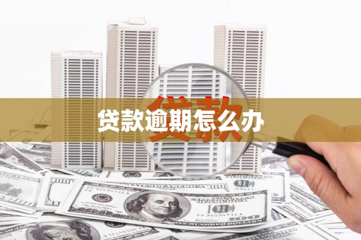 芦竹贷款逾期怎么办