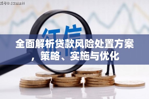 芦竹全面解析贷款风险处置方案，策略、实施与优化