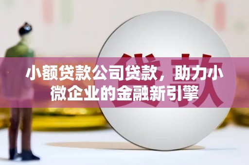 芦竹小额贷款公司贷款，助力小微企业的金融新引擎