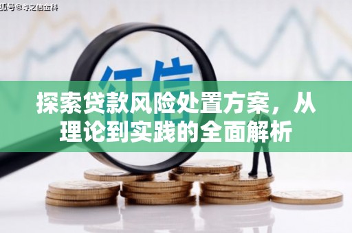 芦竹探索贷款风险处置方案，从理论到实践的全面解析