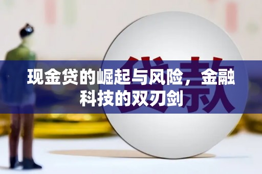 芦竹现金贷的崛起与风险，金融科技的双刃剑