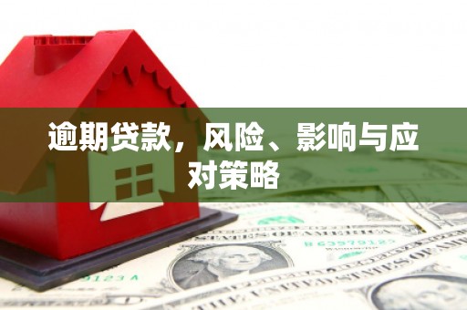 芦竹逾期贷款，风险、影响与应对策略