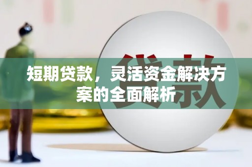 芦竹短期贷款，灵活资金解决方案的全面解析