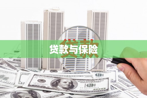 芦竹贷款与保险