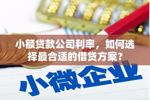芦竹小额贷款公司利率，如何选择最合适的借贷方案？