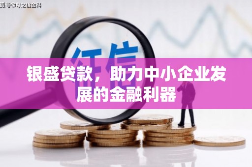 芦竹银盛贷款，助力中小企业发展的金融利器