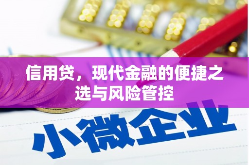 芦竹信用贷，现代金融的便捷之选与风险管控