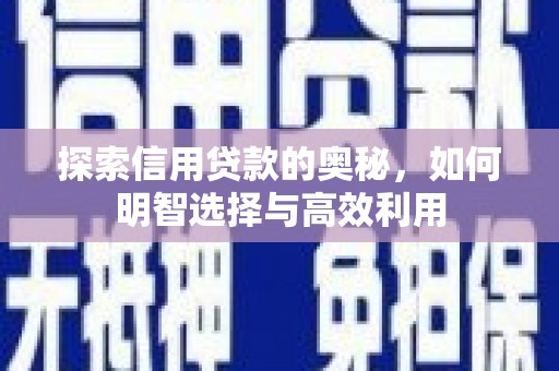 芦竹探索信用贷款的奥秘，如何明智选择与高效利用