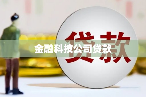 芦竹金融科技公司贷款