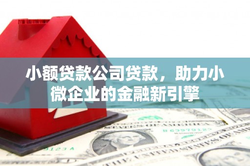 芦竹小额贷款公司贷款，助力小微企业的金融新引擎