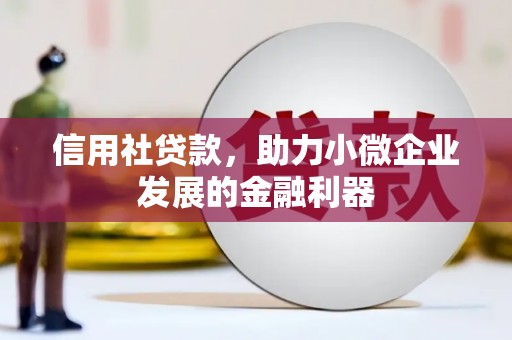 芦竹信用社贷款，助力小微企业发展的金融利器