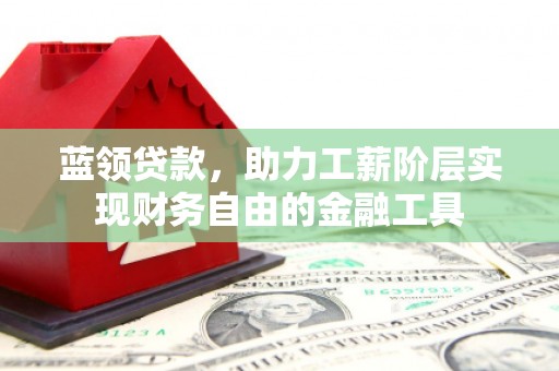 芦竹蓝领贷款，助力工薪阶层实现财务自由的金融工具