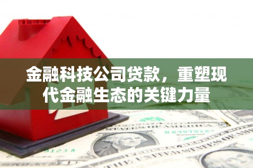 芦竹金融科技公司贷款，重塑现代金融生态的关键力量