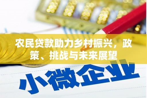 芦竹农民贷款助力乡村振兴，政策、挑战与未来展望
