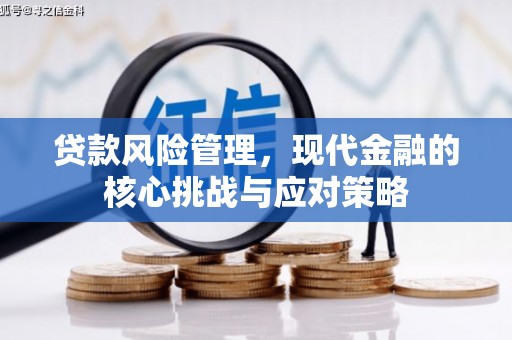 芦竹贷款风险管理，现代金融的核心挑战与应对策略
