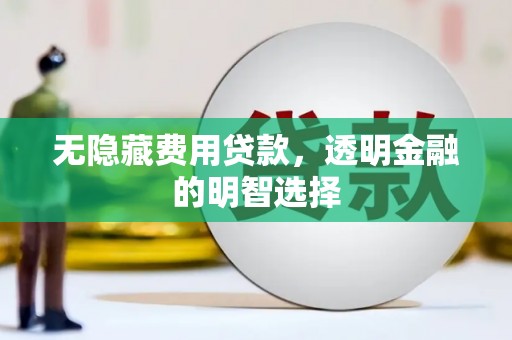 芦竹无隐藏费用贷款，透明金融的明智选择