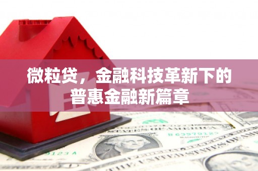 芦竹微粒贷，金融科技革新下的普惠金融新篇章