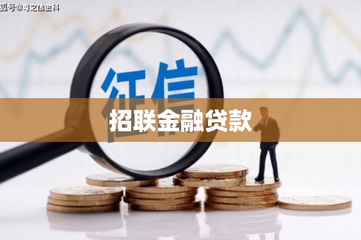 芦竹招联金融贷款
