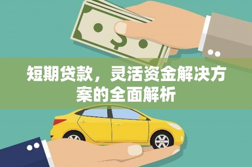 芦竹短期贷款，灵活资金解决方案的全面解析