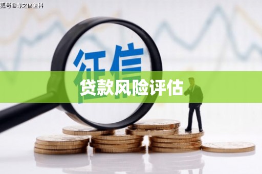 芦竹贷款风险评估