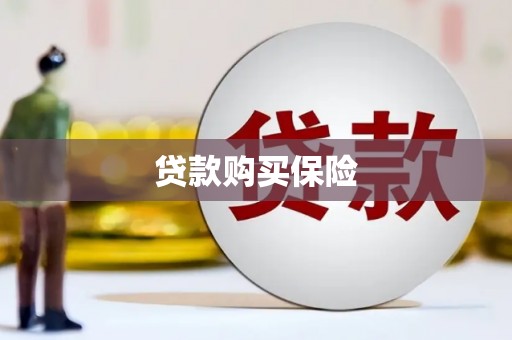 芦竹贷款购买保险