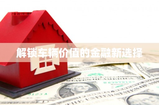 芦竹解锁车辆价值的金融新选择