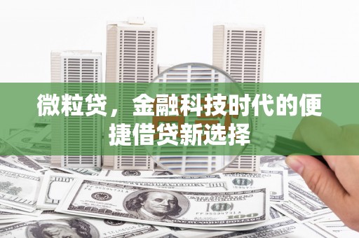 芦竹微粒贷，金融科技时代的便捷借贷新选择