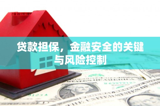 芦竹贷款担保，金融安全的关键与风险控制