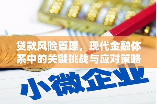 芦竹贷款风险管理，现代金融体系中的关键挑战与应对策略