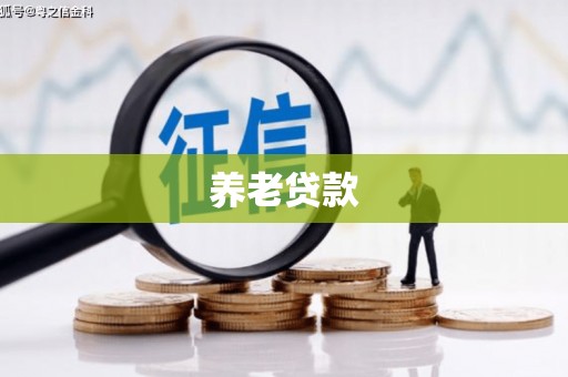 芦竹养老贷款
