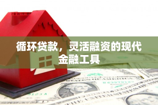 芦竹循环贷款，灵活融资的现代金融工具