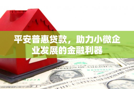 芦竹平安普惠贷款，助力小微企业发展的金融利器