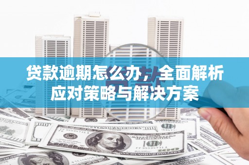 芦竹贷款逾期怎么办，全面解析应对策略与解决方案