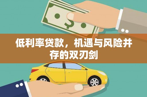 芦竹低利率贷款，机遇与风险并存的双刃剑